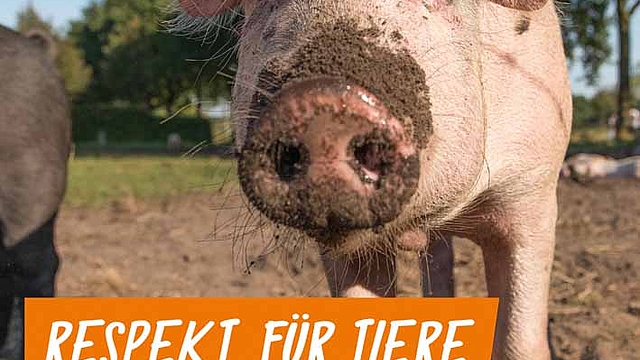 Themenplakat ÖDP - Respekt für Tiere