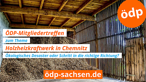 ÖDP Mitgliedertreffen Holzheizkraftwerk Chemnitz